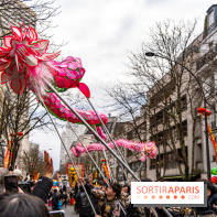 Défilé du Nouvel an Lunaire - Chinois 2025 Paris 13e - les photos