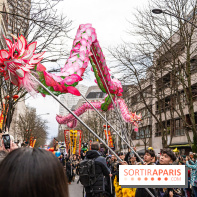 Défilé du Nouvel an Lunaire - Chinois 2025 Paris 13e - les photos