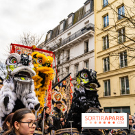 Défilé du Nouvel an Lunaire - Chinois 2025 Paris 13e - les photos