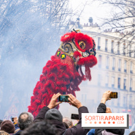 Défilé du Nouvel an Lunaire - Chinois 2025 Paris 13e - les photos