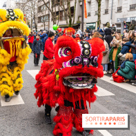 Défilé du Nouvel an Lunaire - Chinois 2025 Paris 13e - les photos