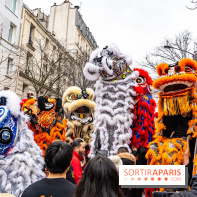 Défilé du Nouvel an Lunaire - Chinois 2025 Paris 13e - les photos