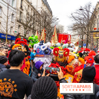 Défilé du Nouvel an Lunaire - Chinois 2025 Paris 13e - les photos