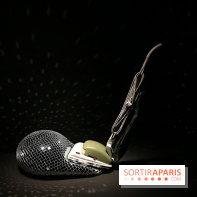 Exposition Disco à la Philharmonie de Paris, nos photos - Expo Disco 12 fotor 2025021312423