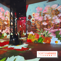 Le Douanier Rousseau, au pays des rêves : l'exposition immersive de l'Atelier des Lumières - photos
