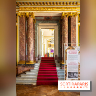 Le Château de Versailles : ouverture de plusieurs salles sur la IIIe République - DSC 2268