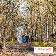 Balade sentier : Conte de Mélida, l'esprit de la forêt en forêt de Méridon (78) - A7C02309