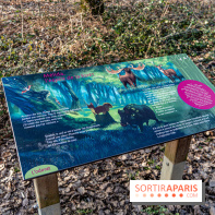 Balade sentier : Conte de Mélida, l'esprit de la forêt en forêt de Méridon (78) - A7C02311