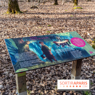 Balade sentier : Conte de Mélida, l'esprit de la forêt en forêt de Méridon (78)