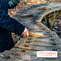 Balade sentier : Conte de Mélida, l'esprit de la forêt en forêt de Méridon (78) - A7C02316