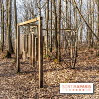 Balade sentier : Conte de Mélida, l'esprit de la forêt en forêt de Méridon (78) - A7C02317