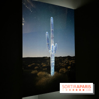 Paysages mouvants
