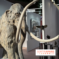 Art Capital 2025