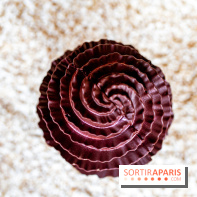 Chocolats de Pâques du Shangri-La Paris 2025 par Maxence Barbot -  A7C2087