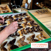 Deyrolle, l'incroyable cabinet de curiosités à Paris - nos photos - image00055