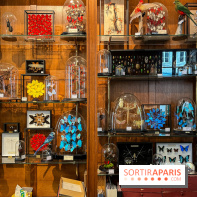 Deyrolle, l'incroyable cabinet de curiosités à Paris - nos photos