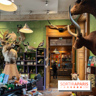 Deyrolle, l'incroyable cabinet de curiosités à Paris - nos photos - image00028