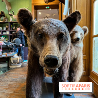 Deyrolle, l'incroyable cabinet de curiosités à Paris - nos photos - image00023