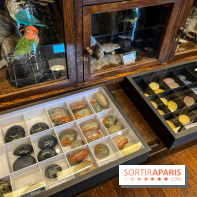 Deyrolle, l'incroyable cabinet de curiosités à Paris - nos photos