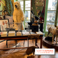 Deyrolle, l'incroyable cabinet de curiosités à Paris - nos photos