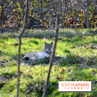 Lumigny Safari Reserve - nos photos - image00051