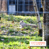 Lumigny Safari Reserve - nos photos