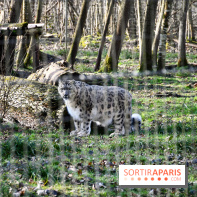 Lumigny Safari Reserve - nos photos