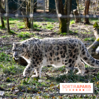 Lumigny Safari Reserve - nos photos