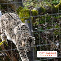Lumigny Safari Reserve - nos photos