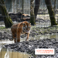 Lumigny Safari Reserve - nos photos