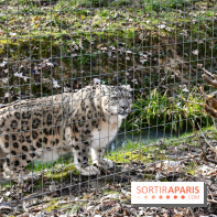 Lumigny Safari Reserve - nos photos