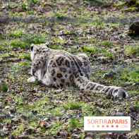 Lumigny Safari Reserve - nos photos - image00035