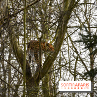 Lumigny Safari Reserve - nos photos - image00029