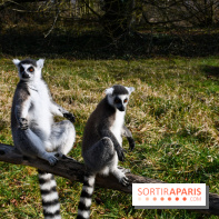 Lumigny Safari Reserve - nos photos