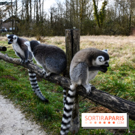 Lumigny Safari Reserve - nos photos - image00013