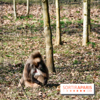 Lumigny Safari Reserve - nos photos - image00011