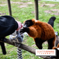 Lumigny Safari Reserve - nos photos - image00006