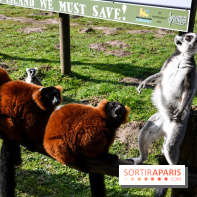 Lumigny Safari Reserve - nos photos - image00003