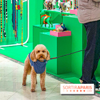 Je T'aime Comme Un Chien : food, mode, déco ... une expo qui a du chien au Bon Marché Rive Gauche - image00003