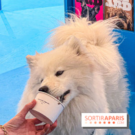 Je T'aime Comme Un Chien : food, mode, déco ... une expo qui a du chien au Bon Marché Rive Gauche - image00033