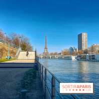 Île aux Cygnes