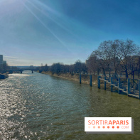 Île aux Cygnes