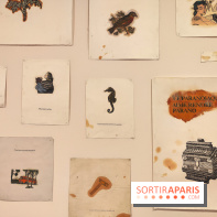 Ce que l'horizon promet : les artistes explorent notre futur à la Fondation EDF - nos photos - fotor 1741705644857