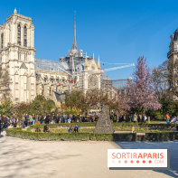 Le Square Viviani devant Notre-Dame de Paris