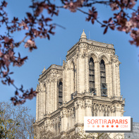 Le Square Viviani devant Notre-Dame de Paris