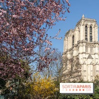 Le Square Viviani devant Notre-Dame de Paris