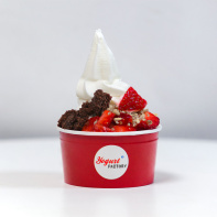 Yogurt Factory à Paris