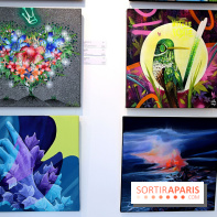 Street Nature Forte, nos photos de l'exposition - Street Nature Forte 4 fotor 2025032016118