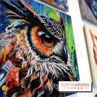 Street Nature Forte, nos photos de l'exposition - Street Nature Forte 14 fotor 2025032016627