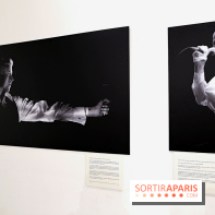 David Bowie, Mr Jones’ Long Hair, nos photos de l'expo à Paris - Expo Bowie 11
